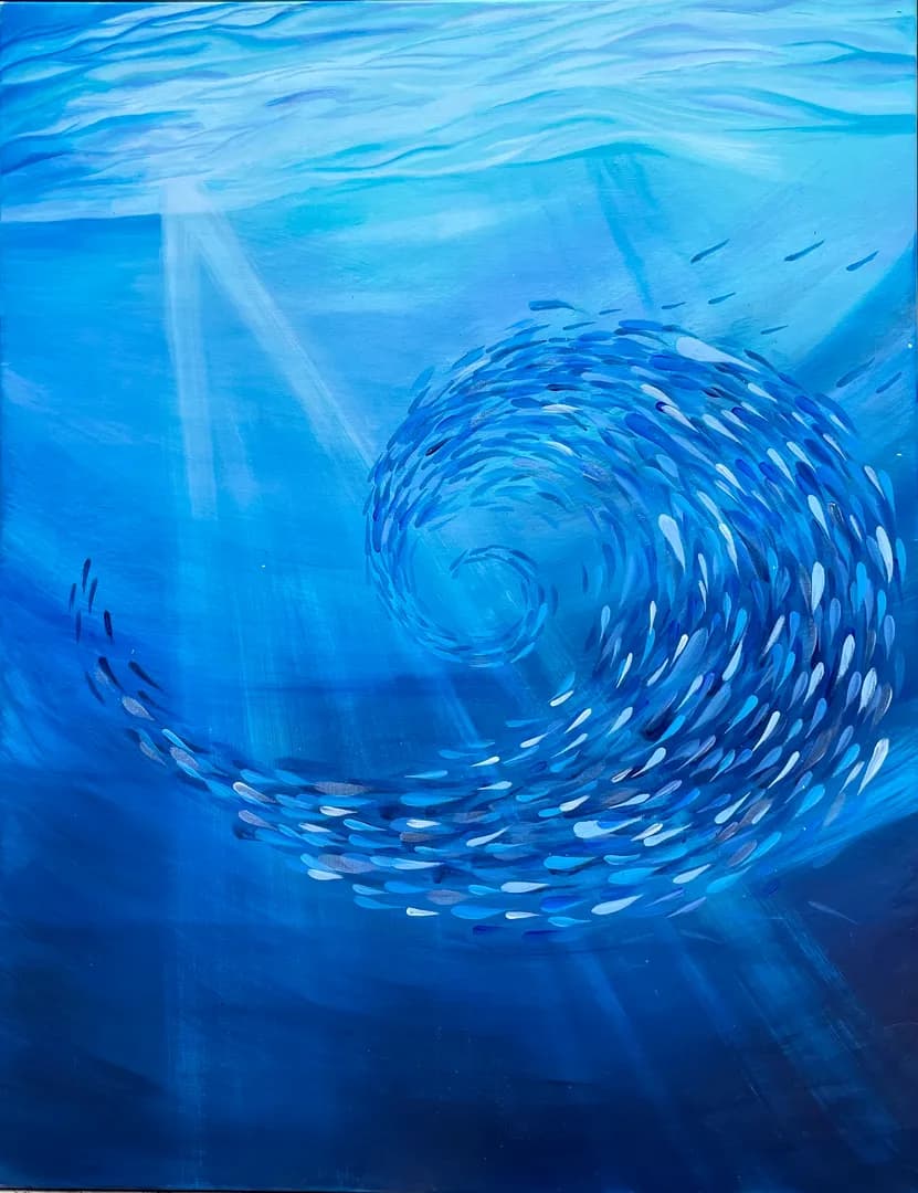 Collection Mer Veilleuse